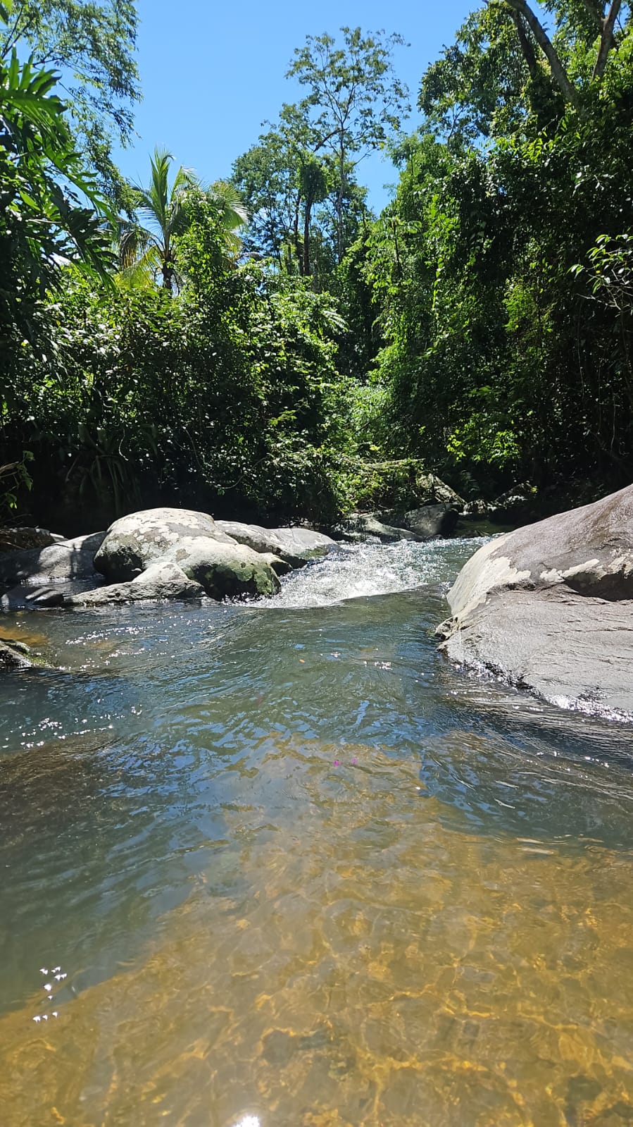 Casa 4 dormitórios com piscina